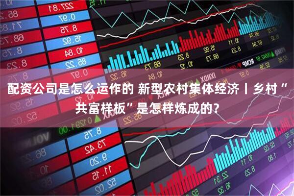 配资公司是怎么运作的 新型农村集体经济丨乡村“共富样板”是怎样炼成的？
