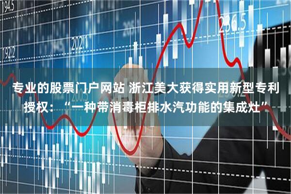 专业的股票门户网站 浙江美大获得实用新型专利授权：“一种带消毒柜排水汽功能的集成灶”